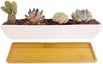 11.1 inch Long Rectangle White Ceramic Succulent Planter Pots/Mini Flower Plant Containers with Bamboo Saucers Plant Window Boxes for Office/Home