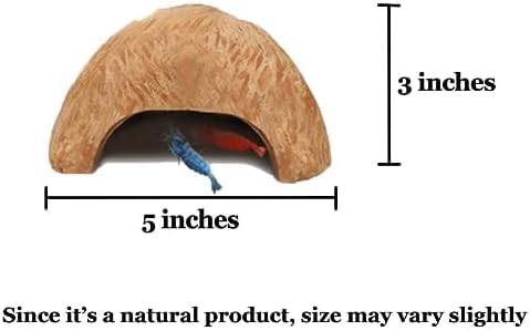 SunGrow Coconut Aquarium Shrimp Cave, Small Fish Tank Decorations Accessories, Comfortable Shelter and Breeding Area for Crustaceans, Fish Hideout Aquarium Décor for Spawning (1 piece)