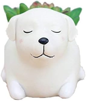 Labrador Dog Succulent Planter Pots for Office House Balcony Landscape Creative Decorative Flower Pots (Labrador Dog)