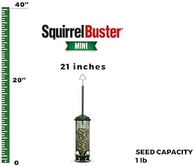 Squirrel Buster Mini Squirrel-Proof Bird Feeder for Wild Birds – 4 Metal Perches, 1 lb Seed Capacity, Chew-Proof Design, Lifetime Care