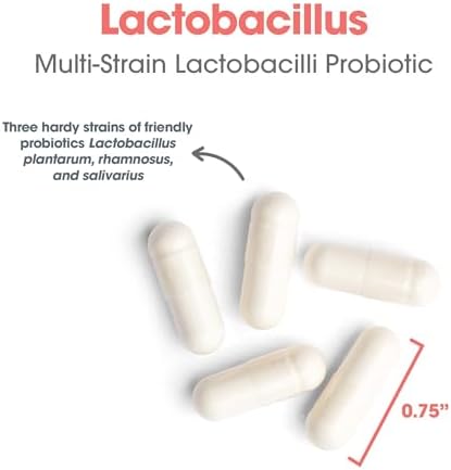 Allergy Research Group ARG Lactobacillus - Multi-Strain Probiotic Capsule - Gut & Digestive Health Support - Dairy Free