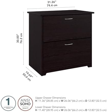 Bush Home Cabot 2 Drawer Lateral File Cabinet in Harvest Cherry, Home Office Chest for Letter, Legal, and A4-size Document Storage