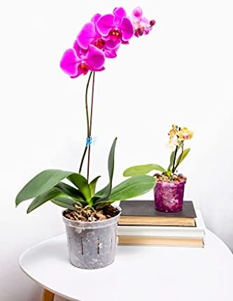 Orchid Pot Growers Assortment (8 Slotted Clear Orchid Pots - 2 Each of 3, 4, 5, 6 Inch) - Premium Orchid Planters, Orchid Pots with Holes for Repotting