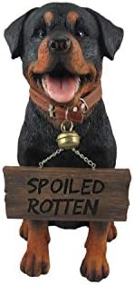 Rottweiler Outdoor Statue, 13 Inch Guard Dog with Reversible Sign