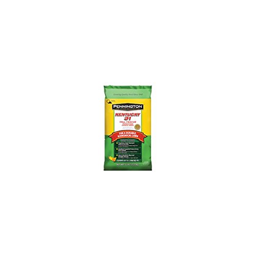 Pennington Kentucky 31 Tall Fescue Grass Seed 5 lb.