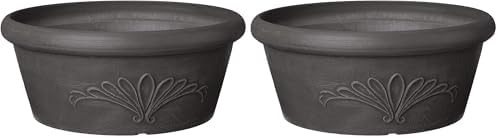 Arcadia Garden Products PSW TA25C Plastic/Stone/Wood Composite Bulb Pan – No Drainage Hole (Drillable), Planter Bowl for Succulents, Bonsai, Fairy Gardens, Herbs,10-Inch, Chocolate