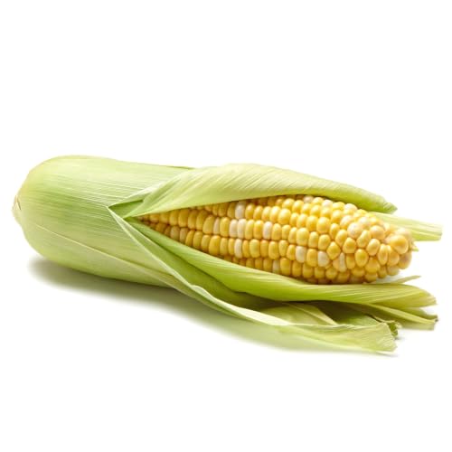 Bi-Color Corn