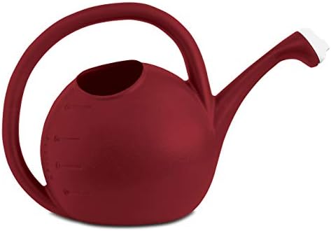 2-Gallon Premium Plastic Rosette Watering Can - The HC Companies 11"x21"x13.75" in Evergreen Color
