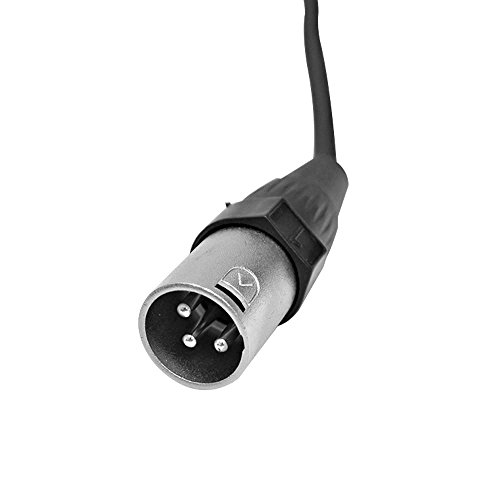 Seismic Audio Speakers 12 Channel Low Profile XLR Send Circuit Board Snake Cable, XLR Splitter Cable, 100 Feet