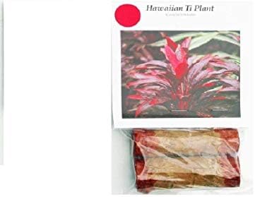 Hawaiian Red Ti Plant Logs ~ Grow Hawaii by Kanoa Hawaii