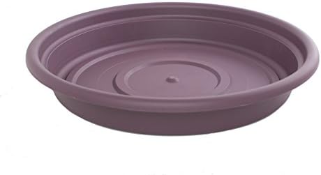 Bloem SDC8-46 Dura Cotta Plant Saucer, Terra Cotta, 8"