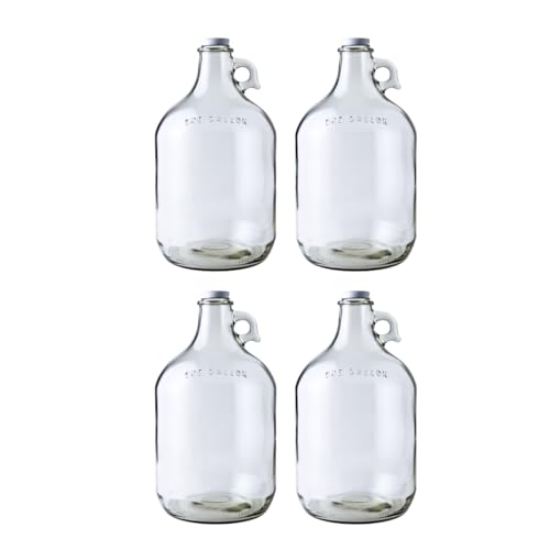 Home Brew Ohio 1 Gallon Glass Water Bottle Includes 38 mm Metal Screw Cap