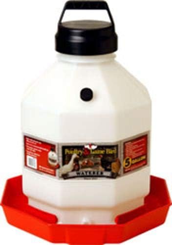Little Giant® Plastic Poultry Waterer | Heavy Duty Plastic Gravity Fed Water Container | Easy to Fill | Snap on Jar | 7 Gallons