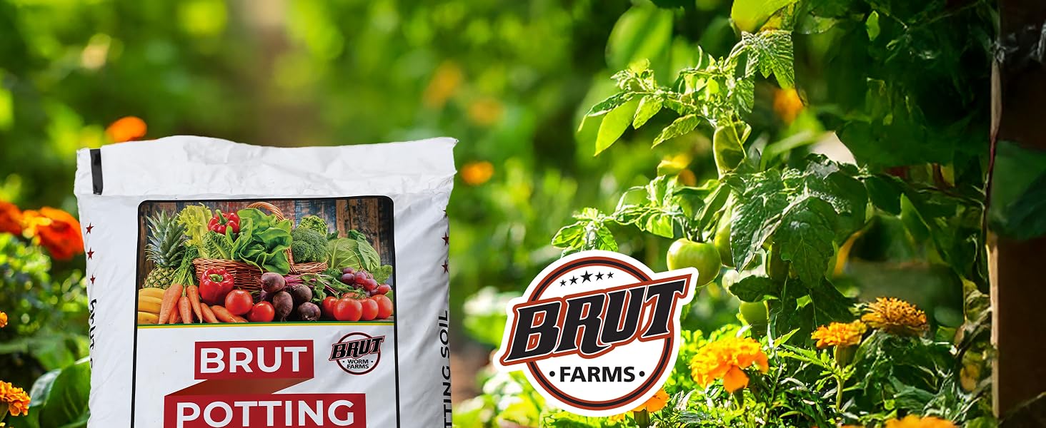 potting soil indoor plants soil indoor potting soil potting soil outdoor plants indoor plant soil