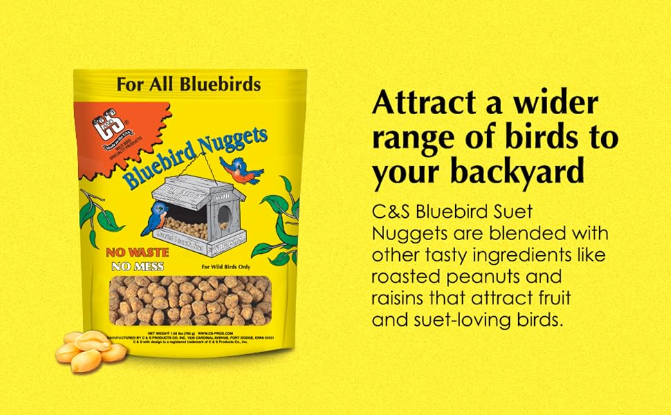 Attract a wider range of birds to your backyard with C&amp;S Bluebird Suet Nuggets