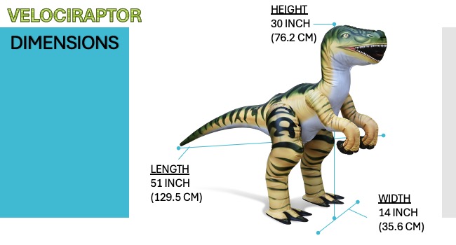 RAPTOR Measurement 51 INCH long 30 INCH tall 14 INCH Wide Great for Parties Classroom Bedroom Event