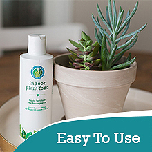 indoor fertilizer for plants