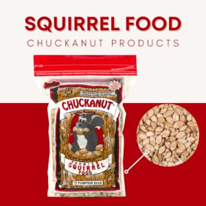 Squirrel Food 1