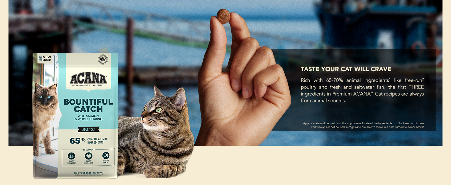 Taste your cat will crave