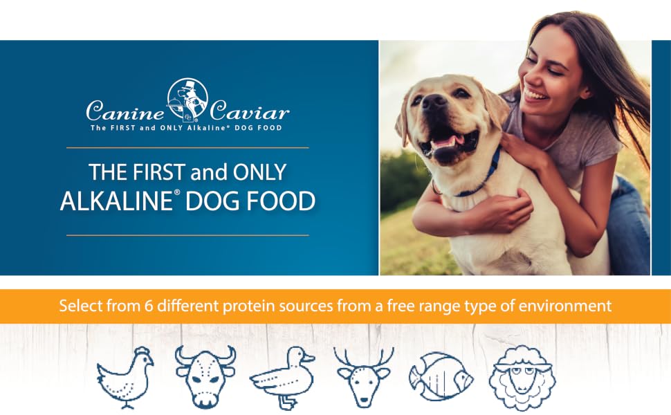 Dog food