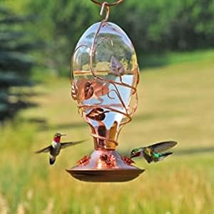 looking glass hummingbird feeder