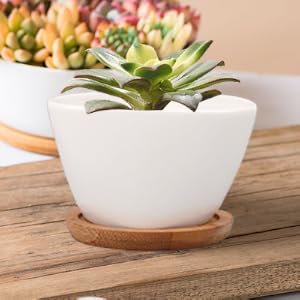 pots