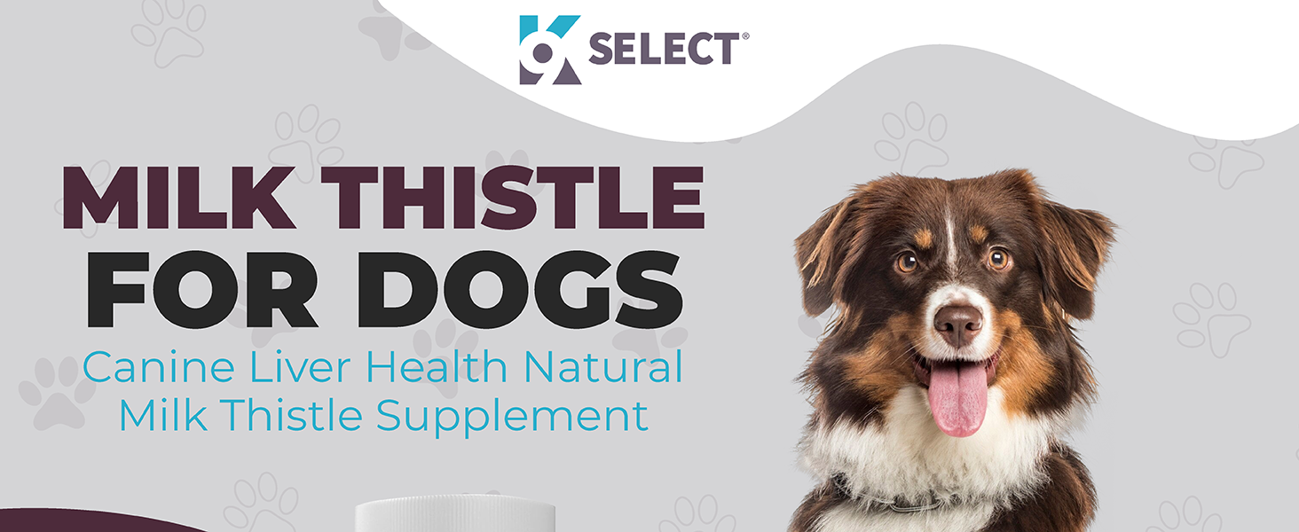 Liver Supplement for Dogs
