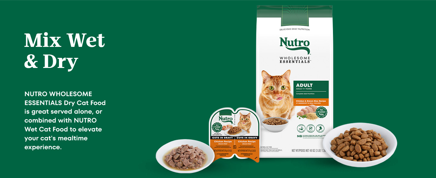 nutro dry cat