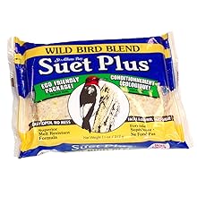 Suet Plus Suet Cake Wild Bird Blend