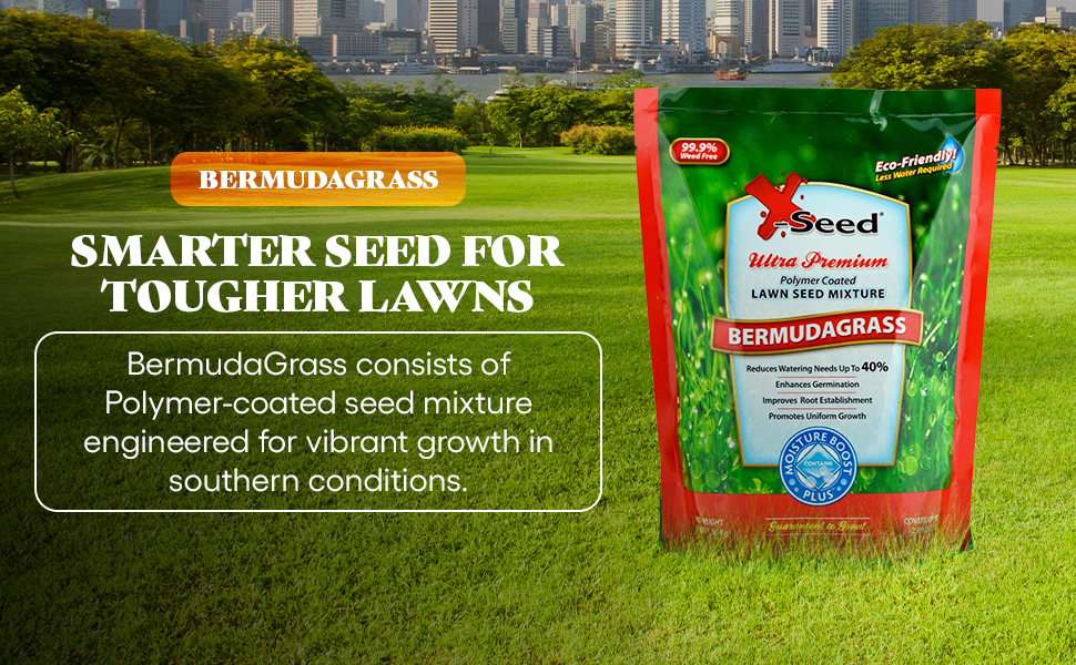 high traffic dogs bermuda pasto invierno hydroseed sacate jardin hydro southern lawns hard grow