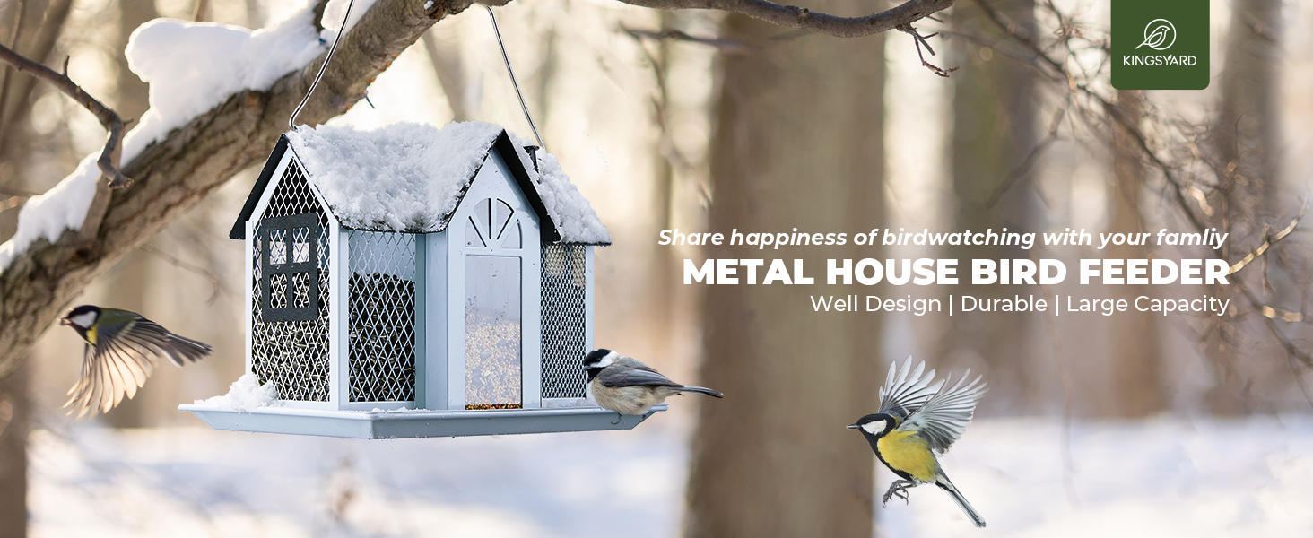 bird feeder