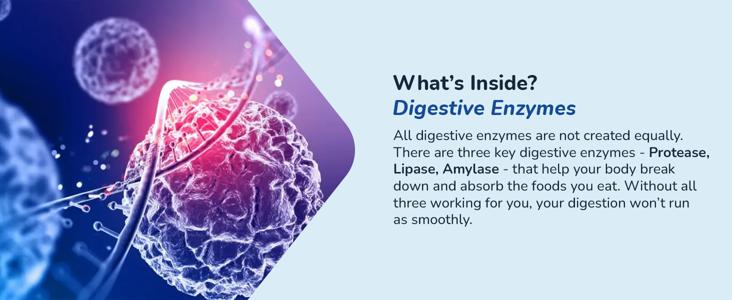 healthygut probiotics for digestive health gut men supplements pro biotics
