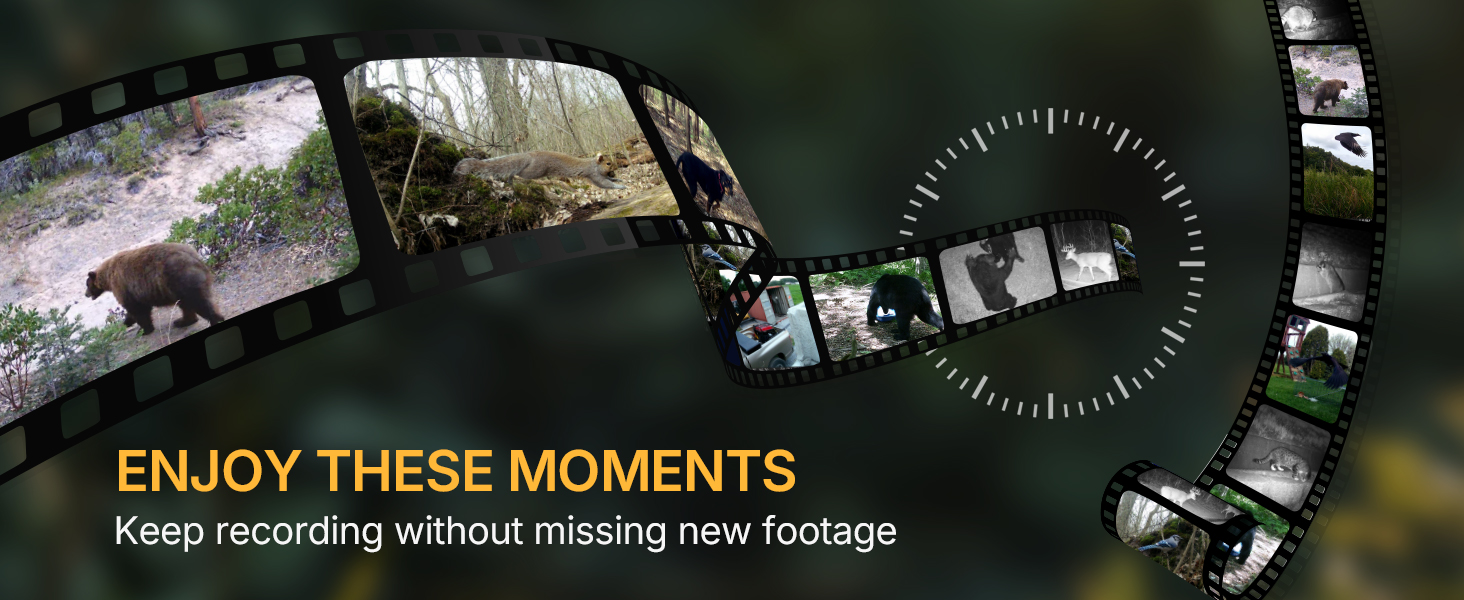 mini trail cam