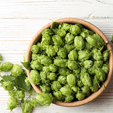 DIY beer mead cider large glass containers food safe beverage coffee sun tea do it yourself hops