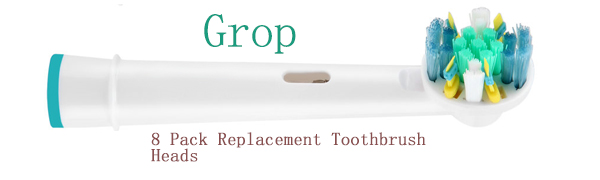 Replacement Toothbrush Heads