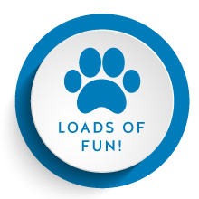 Loads of fun