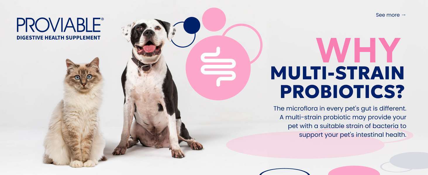 Proviable Probiotics