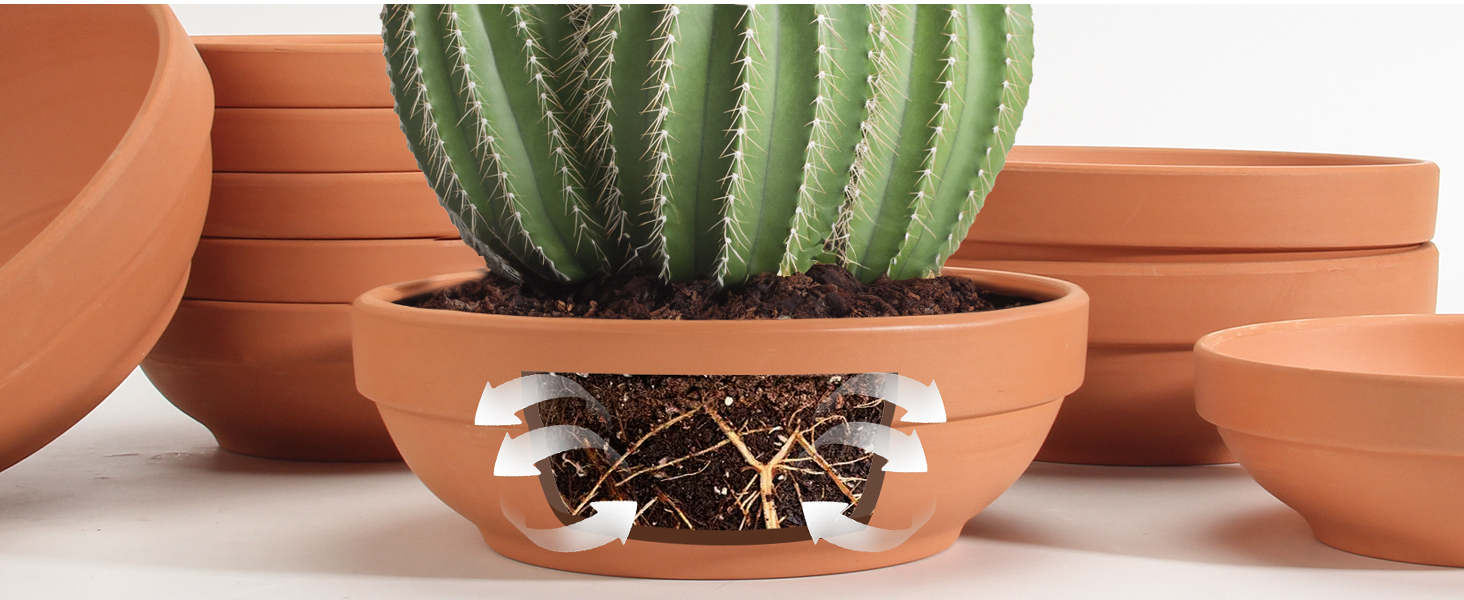 terra cotta pots