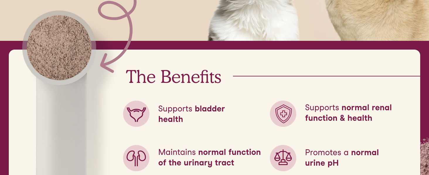 The Benefits