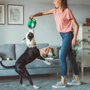Woman playing with Dog while other dogs rest on the couch