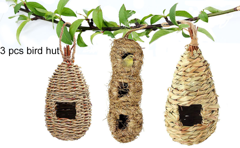 Hummingbird House for Outside