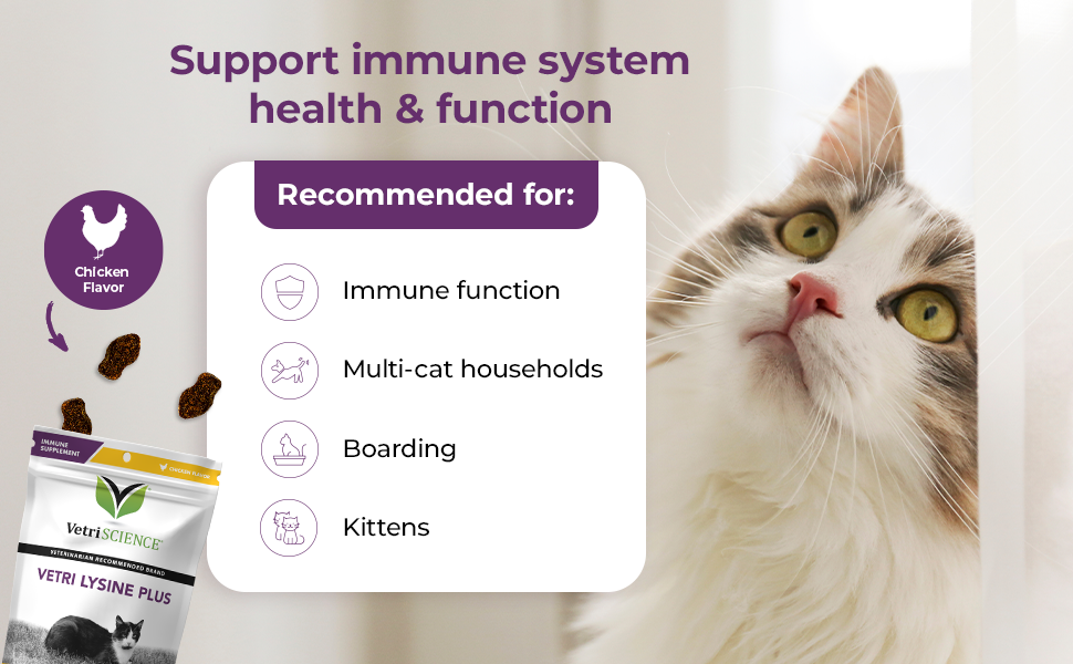 cat immune function