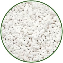 organic perlite succulent and cactus soil potting mix for snake plants perfect plants desert plants