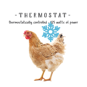 thermostat thermostatically controlled 125 watts of power chicken bird happy healthy