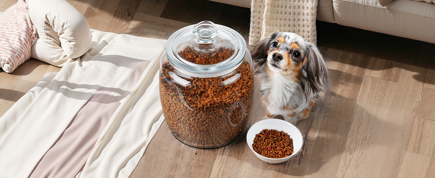 dog treat jars
