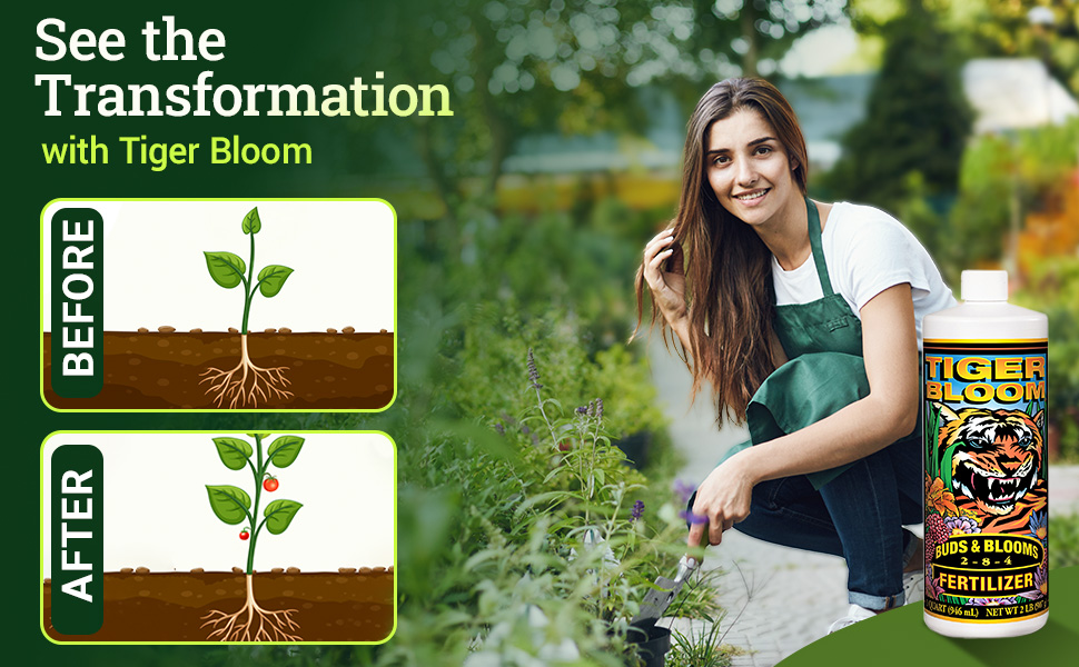 See the transformation with tiger bloom