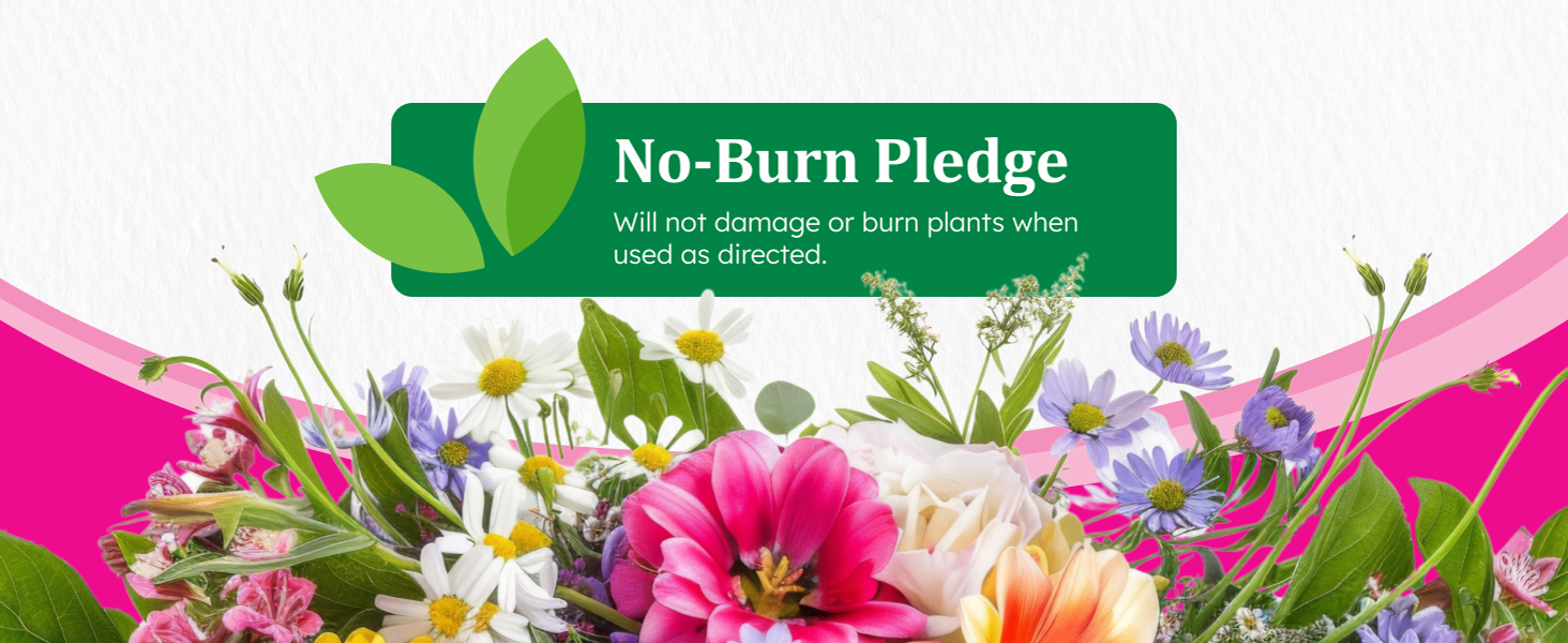 No-Burn Pledge