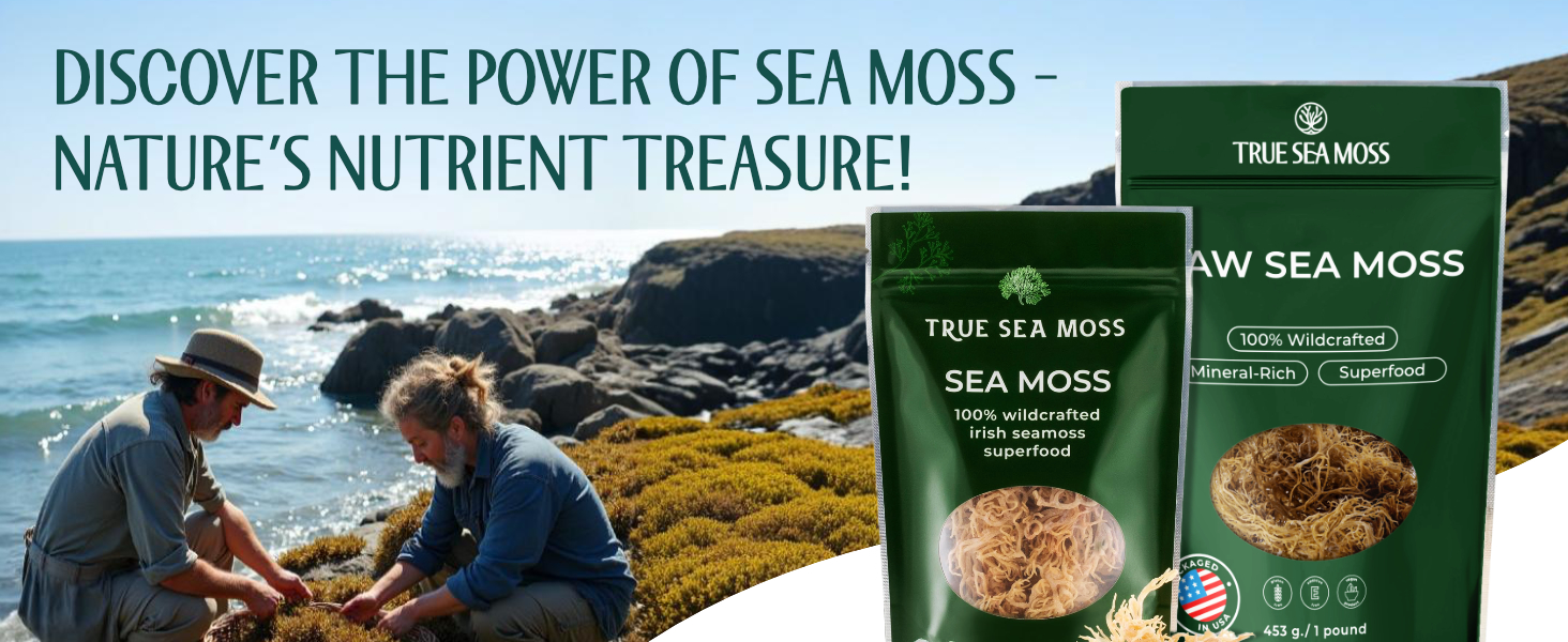 raw irish sea moss for gel making smoothies teas 1lb vegan dried non gmo gluten free superfood