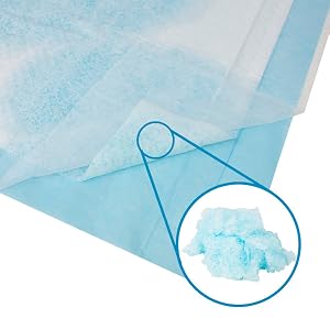 Absorbent Core