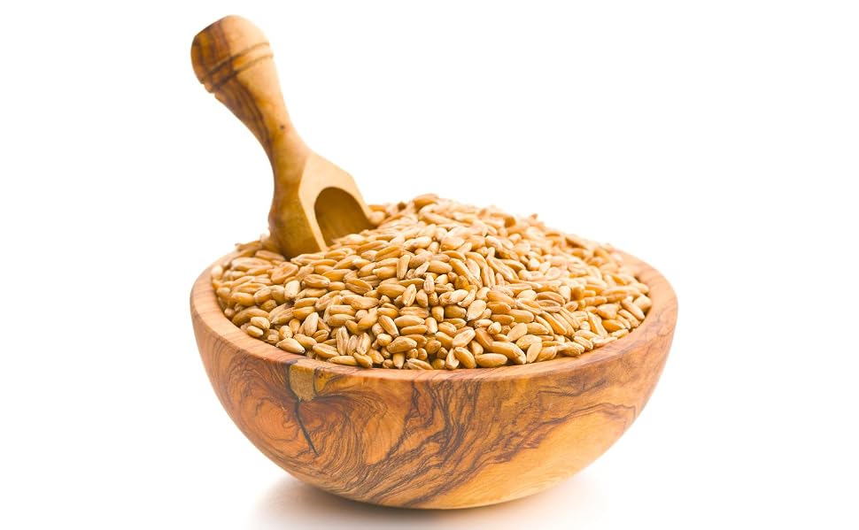 Spelt Wheat Berries